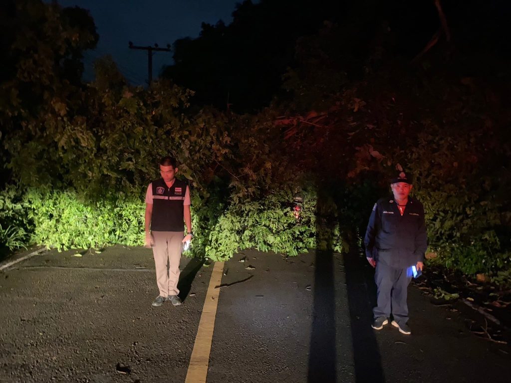 แจ้งเตือนไม้ล้ม กีดขวางการจราจร